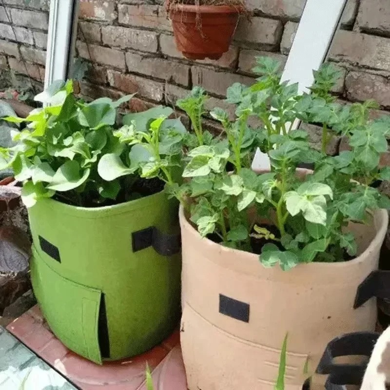 3Styles Felt plant grow bags n - Agriculture Vertical Farming ulasan dan harga