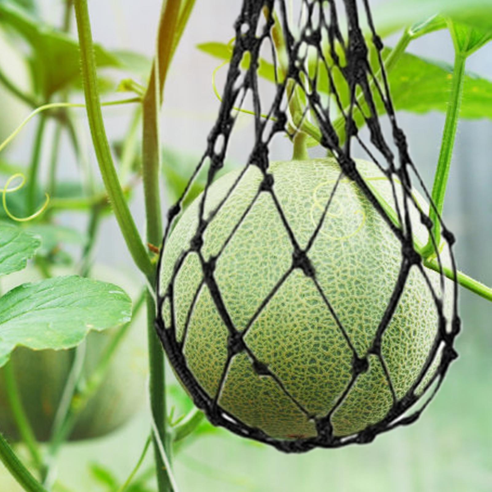 10pcs Watermelon Nets Garden V - Agriculture Vertical Farming ulasan dan harga