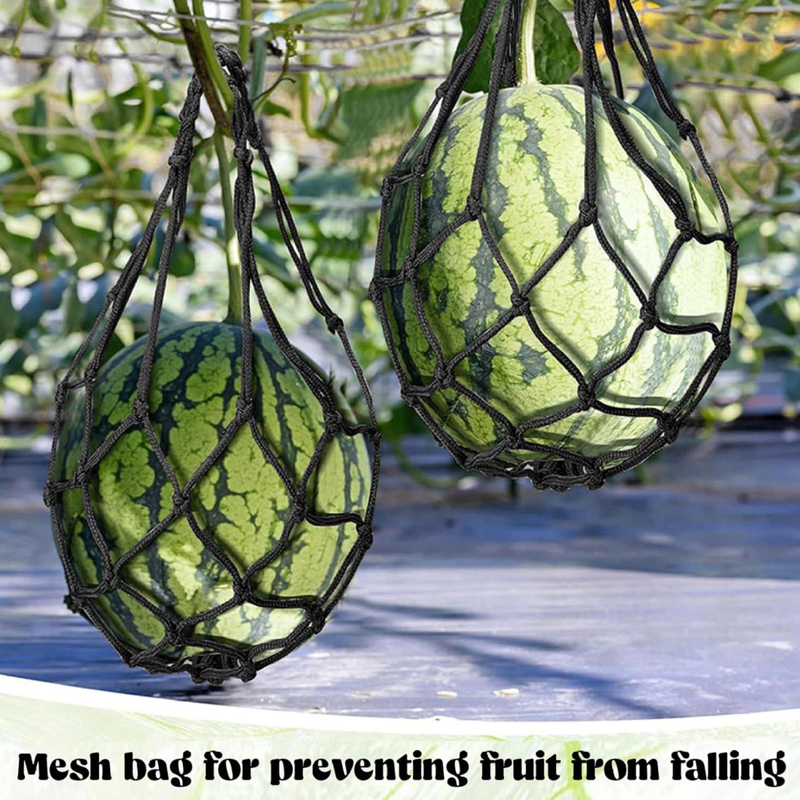 10pcs Watermelon Nets Garden V - Agriculture Vertical Farming ulasan dan harga