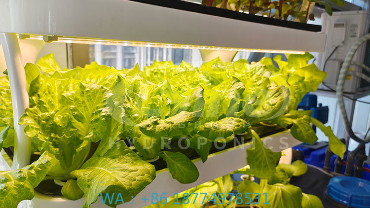 c Agriculture Machine to Growi - Agriculture Vertical Farming ulasan dan harga