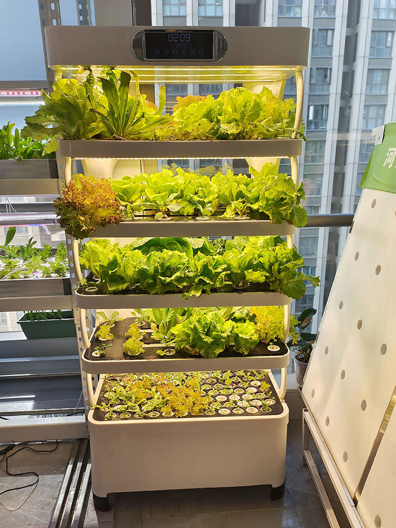 c Agriculture Machine to Growi - Agriculture Vertical Farming ulasan dan harga