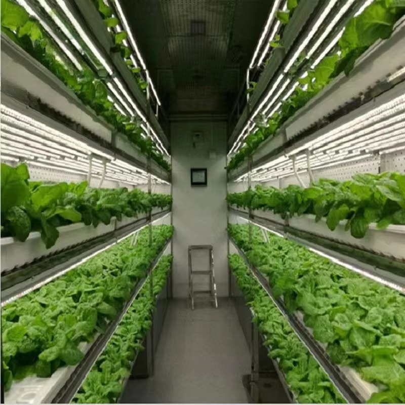 Custom Agricultural Greenhouse - Agriculture Vertical Farming ulasan dan harga