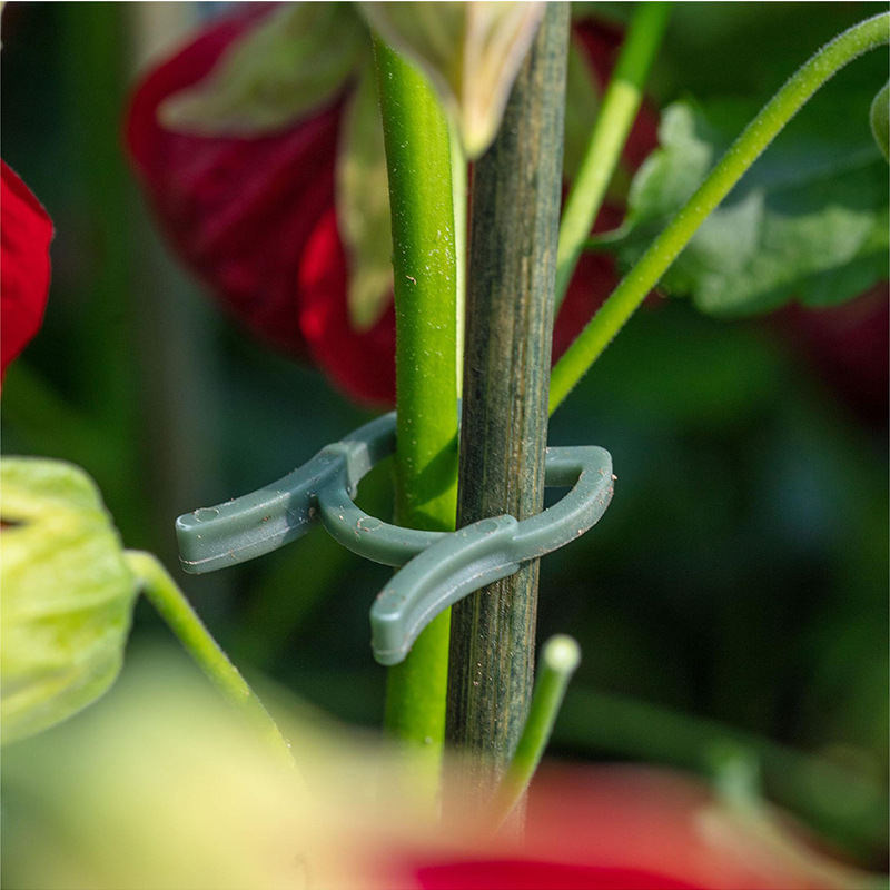 50/100pcs Garden Plant Clips V - Agriculture Vertical Farming ulasan dan harga