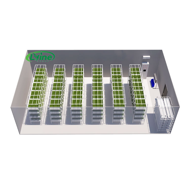 Agricultural Greenhouses Lettu - Agriculture Vertical Farming ulasan dan harga